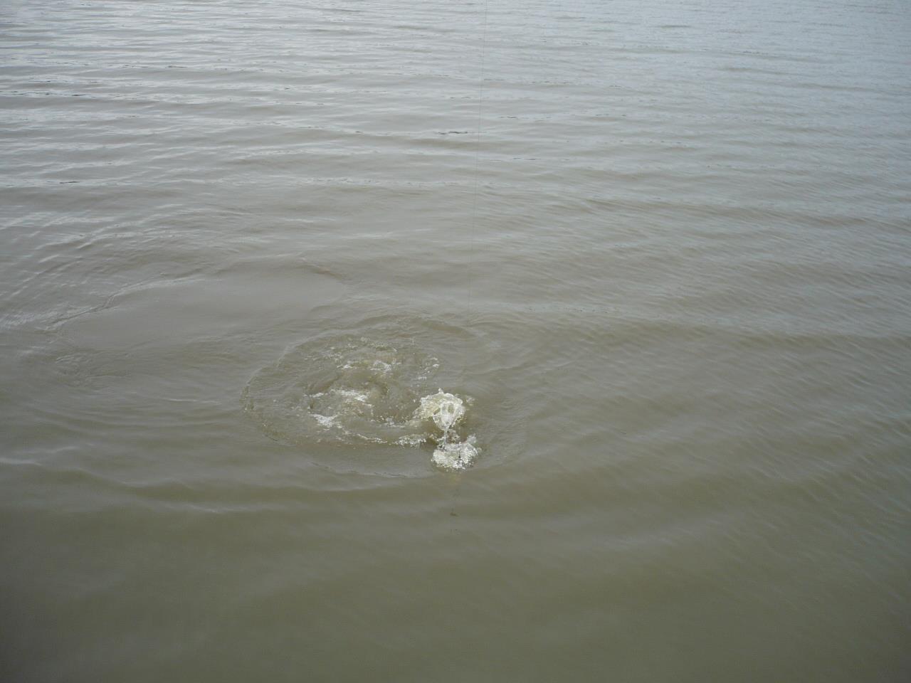 Magura 9 - 25.MAR.2014 - p1020266.JPG